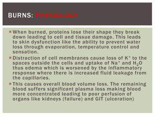  When burned, proteins lose their shape they break
down leading to cell and tissue damage. This leads
to skin dysfunction like the ability to prevent water
loss through evaporation, temperature control and
sensation.
 Distraction of cell membranes cause loss of K+ to the
spaces outside the cells and uptake of Na+ and H2O
thus edema which is worsened by the inflammatory
response where there is increased fluid leakage from
the capillaries.
 This causes overall blood volume loss. The remaining
blood suffers significant plasma loss making blood
more concentrated leading to poor perfusion of
organs like kidneys (failure) and GIT (ulceration)
BURNS: PHYSIOLOGY
 