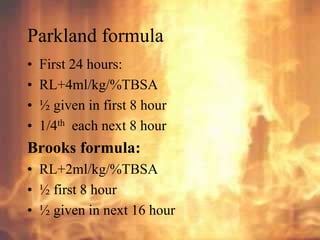 burns final ppt.ppt