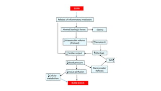 Burn Management Algorithm Comprehensive Pediatric Burn Management: Assessment, Treatment, and ...