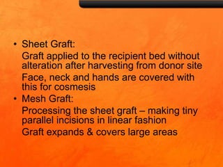 • Sheet Graft:
Graft applied to the recipient bed without
alteration after harvesting from donor site
Face, neck and hands are covered with
this for cosmesis
• Mesh Graft:
Processing the sheet graft – making tiny
parallel incisions in linear fashion
Graft expands & covers large areas
 