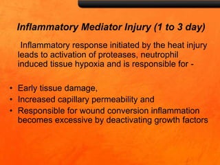Inflammatory Mediator Injury (1 to 3 day)
Inflammatory response initiated by the heat injury
leads to activation of proteases, neutrophil
induced tissue hypoxia and is responsible for -
• Early tissue damage,
• Increased capillary permeability and
• Responsible for wound conversion inflammation
becomes excessive by deactivating growth factors
 