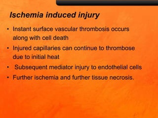 Ischemia induced injury
• Instant surface vascular thrombosis occurs
along with cell death
• Injured capillaries can continue to thrombose
due to initial heat
• Subsequent mediator injury to endothelial cells
• Further ischemia and further tissue necrosis.
 
