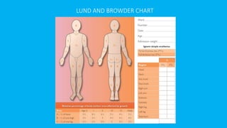 LUND AND BROWDER CHART
 