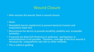 Wound Closure
• After excision the wound, there is wound closure.
• Goals:
• Reestablish barrier (epidermis) to prevent bacterial invasion and
evaporative water loss
• Reconstitute the dermis to provide durability, pliability and acceptable
cosmetics.
• If wounds are deep (full-thickness) or extensive, spontaneous re-
epithelialization is not possible. Therefore, coverage of the burn wound is
necessary by using patients own skin or other methods.
• This is called as grafting
 