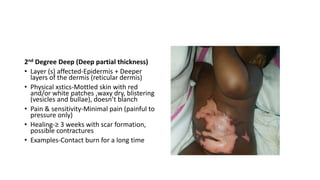 2nd Degree Deep (Deep partial thickness)
• Layer (s) affected-Epidermis + Deeper
layers of the dermis (reticular dermis)
• Physical xstics-Mottled skin with red
and/or white patches ,waxy dry, blistering
(vesicles and bullae), doesn’t blanch
• Pain & sensitivity-Minimal pain (painful to
pressure only)
• Healing-≥ 3 weeks with scar formation,
possible contractures
• Examples-Contact burn for a long time
 
