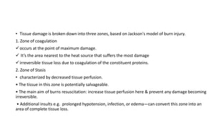 • Tissue damage is broken down into three zones, based on Jackson's model of burn injury.
1. Zone of coagulation
occurs at the point of maximum damage.
 It’s the area nearest to the heat source that suffers the most damage
irreversible tissue loss due to coagulation of the constituent proteins.
2. Zone of Stasis
• characterized by decreased tissue perfusion.
• The tissue in this zone is potentially salvageable.
• The main aim of burns resuscitation: increase tissue perfusion here & prevent any damage becoming
irreversible.
• Additional insults e.g. prolonged hypotension, infection, or edema—can convert this zone into an
area of complete tissue loss.
 