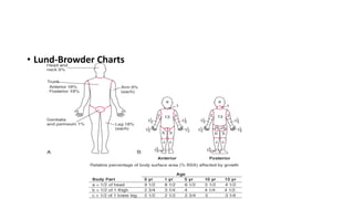 • Lund-Browder Charts
 