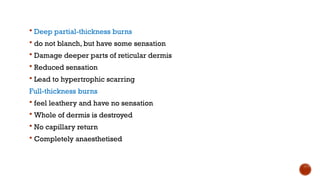  Deep partial-thickness burns
 do not blanch, but have some sensation
 Damage deeper parts of reticular dermis
 Reduced sensation
 Lead to hypertrophic scarring
Full-thickness burns
 feel leathery and have no sensation
 Whole of dermis is destroyed
 No capillary return
 Completely anaesthetised
 