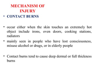 Burns function of skin anatomy and physiology of skin | PPT