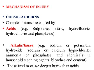 Burns function of skin anatomy and physiology of skin | PPT