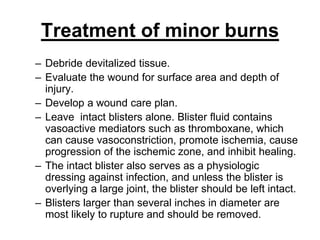Treatment of minor burns
– Debride devitalized tissue.
– Evaluate the wound for surface area and depth of
injury.
– Develop a wound care plan.
– Leave intact blisters alone. Blister fluid contains
vasoactive mediators such as thromboxane, which
can cause vasoconstriction, promote ischemia, cause
progression of the ischemic zone, and inhibit healing.
– The intact blister also serves as a physiologic
dressing against infection, and unless the blister is
overlying a large joint, the blister should be left intact.
– Blisters larger than several inches in diameter are
most likely to rupture and should be removed.
 