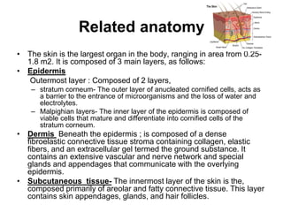 Related anatomy
• The skin is the largest organ in the body, ranging in area from 0.25-
1.8 m2. It is composed of 3 main layers, as follows:
• Epidermis
Outermost layer : Composed of 2 layers,
– stratum corneum- The outer layer of anucleated cornified cells, acts as
a barrier to the entrance of microorganisms and the loss of water and
electrolytes.
– Malpighian layers- The inner layer of the epidermis is composed of
viable cells that mature and differentiate into cornified cells of the
stratum corneum.
• Dermis Beneath the epidermis ; is composed of a dense
fibroelastic connective tissue stroma containing collagen, elastic
fibers, and an extracellular gel termed the ground substance. It
contains an extensive vascular and nerve network and special
glands and appendages that communicate with the overlying
epidermis.
• Subcutaneous tissue- The innermost layer of the skin is the,
composed primarily of areolar and fatty connective tissue. This layer
contains skin appendages, glands, and hair follicles.
 