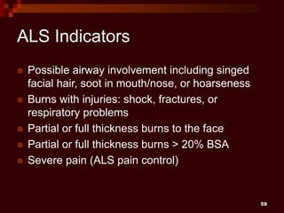 Burns ppt | PPT