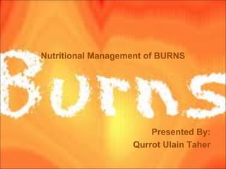 Nutritional Management of BURNS
Presented By:
Qurrot Ulain Taher
 