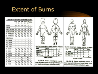 burns & scalds in emergency medicine.ppt