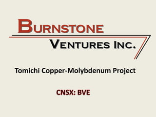 Tomichi Copper-Molybdenum Project  CNSX: BVE 