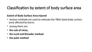 Burns_UPDATED34566467567544433334[1].pptx