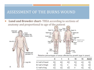 Tbsa Graph Anaesthetic management in a patient of burns injury | PPTX