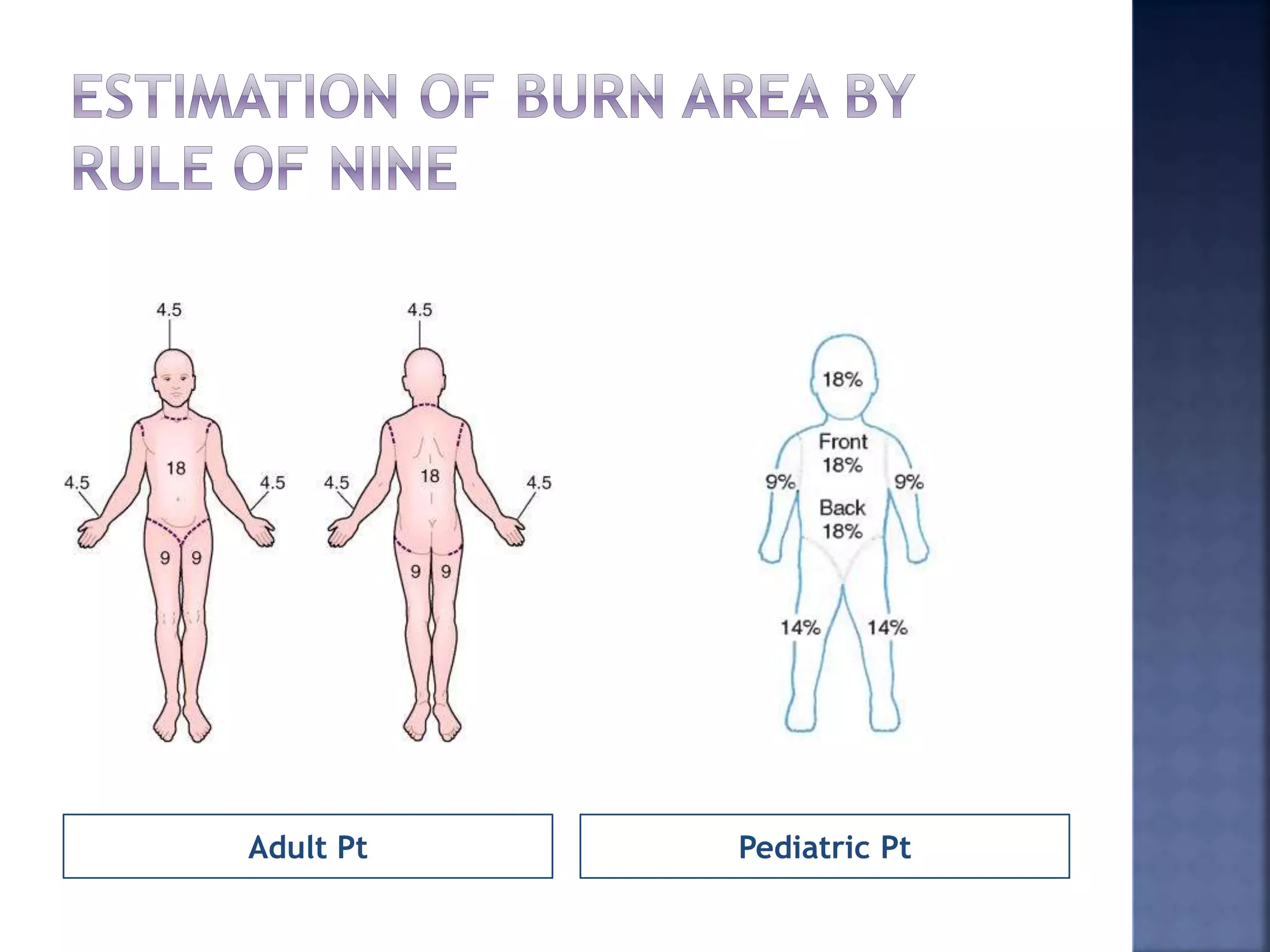 Burn wound management | PPTX