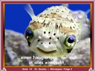 … einen Neugierigen, der sich in alles einmischt, 