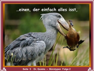… einen, der einfach alles isst, 