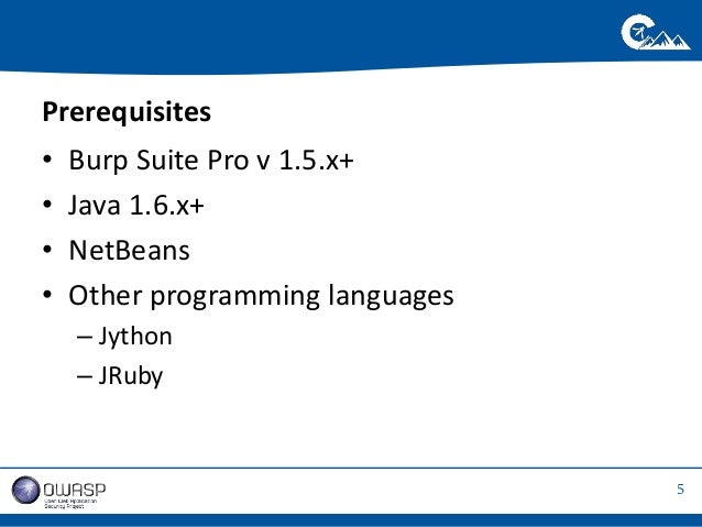 Burp Suite Edition 1.5
