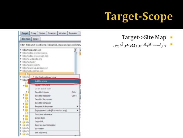 burp suite pro latest version