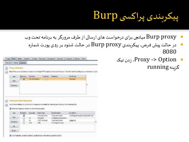 burp suite tutorial point pdf burp suite tutorial point pdf