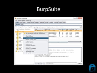 BurpSuite
 