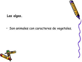 Las algas. Son animales con caracteres de vegetales. 