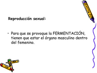 Reproducción sexual: Para que se provoque la FERMENTACIÓN, tienen que estar el órgano masculino dentro del femenino. 
