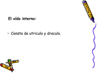 El oído interno: Consta de utriculo y draculo.  