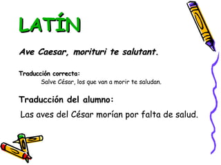 LATÍN Ave Caesar, morituri te salutant. Traducción correcta: Salve César, los que van a morir te saludan. Traducción del alumno:   Las aves del César morían por falta de salud. 