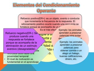 Reforzador: cualquie
r acto o estímulo que
sigue a una
conducta y que
aumenta la
probabilidad de que
sea repetida en el
futuro.
Refuerzo positivo(ER+): es un objeto, evento o conducta
que incrementa la frecuencia de la respuesta. El
reforzamiento positivo ocurre cuando una respuesta se
fortalece porque se acompaña de un estímulo reforzante.
Es el más efectivo.
Su efectividad depende de:
• A mayor cantidad de recompensa
mayor esfuerzo realizado
• Entre el refuerzo y la conducta
reforzada debe haber una
proximidad temporal
• El nivel de motivación es
fundamental en el aprendizaje
Refuerzo negativo(ER-): Se
produce cuando una
respuesta se fortalece
porque se acompaña de la
eliminación de un estímulo
aversivo (desagradable).
Ejemplo: los animales
aprenden a presionar
palancas para evitar
descargas eléctricas o
cerrar la ventana
para evitar la entrada
de corrientes de aire
frío a una habitación.
Ejemplo: los animales
aprenden a presionar
palancas para
obtener comida o un
alago un halago,
buenas calificaciones,
dinero, etc.
 