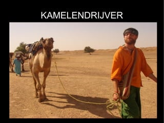 KAMELENDRIJVER
 