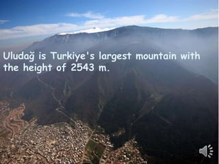Uludağ is Turkiye's largest mountain with 
the height of 2543 m. 
 