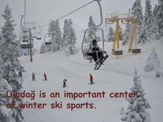 Uludağ is an important center 
of winter ski sports. 
r. 
 