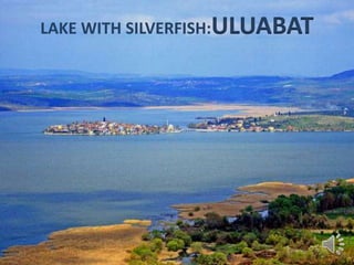 LAKE WITH SILVERFISH:ULUABAT 
 