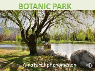 BOTANIC PARK 
A natural phenomenon 
 