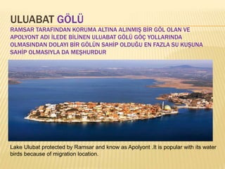 ULUABAT GÖLÜ
RAMSAR TARAFINDAN KORUMA ALTINA ALINMIŞ BİR GÖL OLAN VE
APOLYONT ADI İLEDE BİLİNEN ULUABAT GÖLÜ GÖÇ YOLLARINDA
OLMASINDAN DOLAYI BİR GÖLÜN SAHİP OLDUĞU EN FAZLA SU KUŞUNA
SAHİP OLMASIYLA DA MEŞHURDUR
Lake Ulubat protected by Ramsar and know as Apolyont .It is popular with its water
birds because of migration location.
 