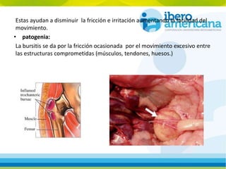 Estas ayudan a disminuir la fricción e irritación aumentando la facilidad del
movimiento.
• patogenia:
La bursitis se da por la fricción ocasionada por el movimiento excesivo entre
las estructuras comprometidas (músculos, tendones, huesos.)
 