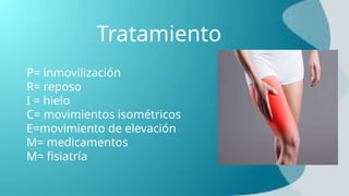 Tratamiento
P= inmovilización
R= reposo
I = hielo
C= movimientos isométricos
E=movimiento de elevación
M= medicamentos
M= fisiatría
 