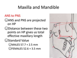 Maxilla and Mandible
ANS to PNS
☺ANS and PNS are projected
on HP
☺Distance between these two
points on HP gives us total
effective maxillary length
☺Standard Value
☺MALES 57.7 + 2.5 mm
☺FEMALES 52.6 + 3.5 mm
 