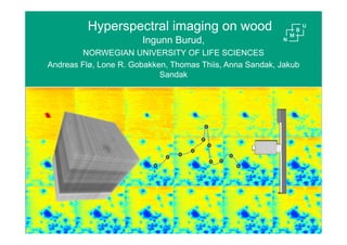 Norwegian University of Life Sciences 1
Hyperspectral imaging on wood
Ingunn Burud,
NORWEGIAN UNIVERSITY OF LIFE SCIENCES
Andreas Flø, Lone R. Gobakken, Thomas Thiis, Anna Sandak, Jakub
Sandak
 