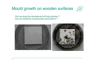 Mould growth on wooden surfaces
11
Can we study the development of fungi colonies ?
Can we model the mould growth and predict it ?
 