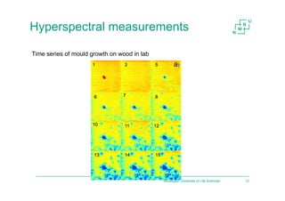 Norwegian University of Life Sciences 12
Hyperspectral measurements
Time series of mould growth on wood in lab
 