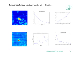 Norwegian University of Life Sciences 13
Time series of mould growth on wood in lab - Parafac
 