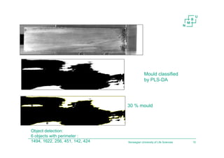 Norwegian University of Life Sciences 15
Mould classified
by PLS-DA
30 % mould
Object detection:
6 objects with perimeter :
1494, 1622, 256, 451, 142, 424
 