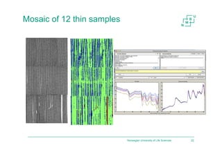 Mosaic of 12 thin samples
Norwegian University of Life Sciences 22
 