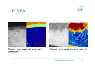 Norwegian University of Life Sciences 26
PLS-DA
Classes : early wood, late wood, bark, rotClasses : early wood, late wood, bark,
background
 